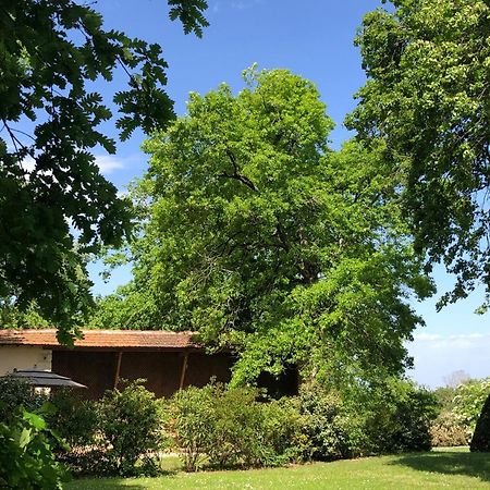 Le Buscagneau Villa Beraut Exterior photo